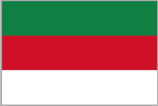 Файл:Современный флаг Зеленограда.png