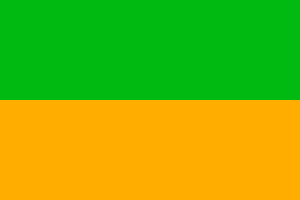 Флаг города Cactusovo