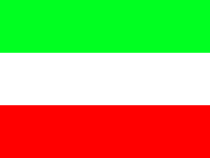 Флаг города Зеленоград