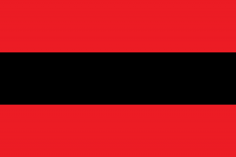 Файл:Неофициальный флаг Тамватнея.png